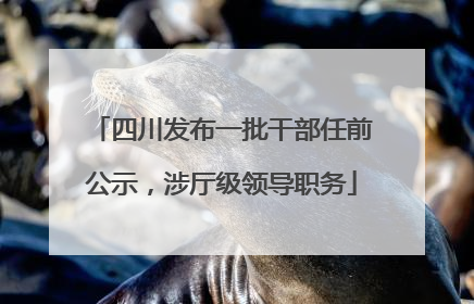四川发布一批干部任前公示，涉厅级领导职务