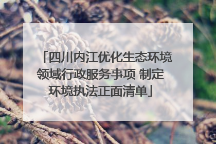 四川内江优化生态环境领域行政服务事项 制定环境执法正面清单
