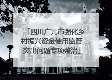 四川广元市强化乡村振兴资金使用监管突出问题专项整治