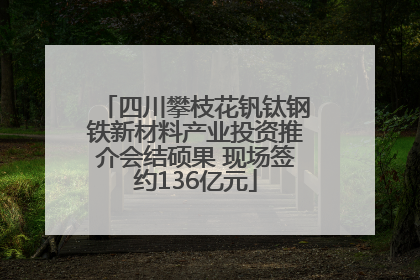 四川攀枝花钒钛钢铁新材料产业投资推介会结硕果 现场签约136亿元