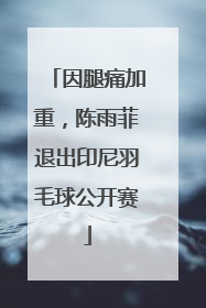 因腿痛加重，陈雨菲退出印尼羽毛球公开赛
