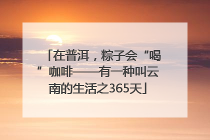 在普洱，粽子会“喝”咖啡——有一种叫云南的生活之365天