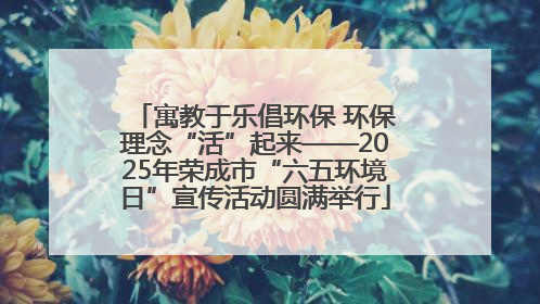 寓教于乐倡环保 环保理念“活”起来——2025年荣成市“六五环境日”宣传活动圆满举行