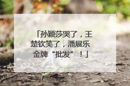 孙颖莎哭了，王楚钦笑了，潘展乐金牌“批发”！