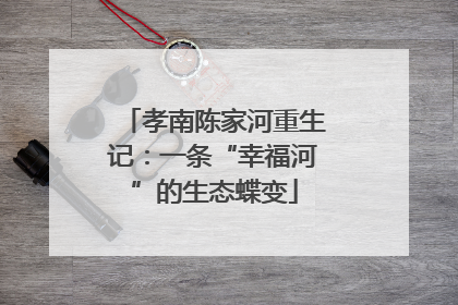 孝南陈家河重生记：一条“幸福河”的生态蝶变