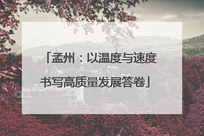 孟州：以温度与速度书写高质量发展答卷