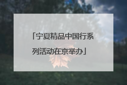 宁夏精品中国行系列活动在京举办