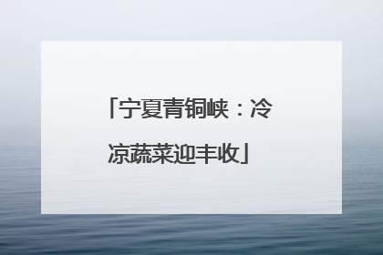 宁夏青铜峡：冷凉蔬菜迎丰收