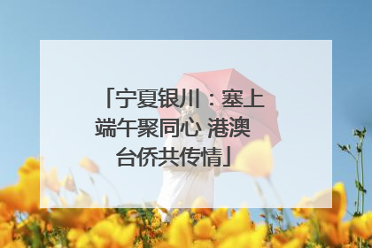 宁夏银川：塞上端午聚同心 港澳台侨共传情