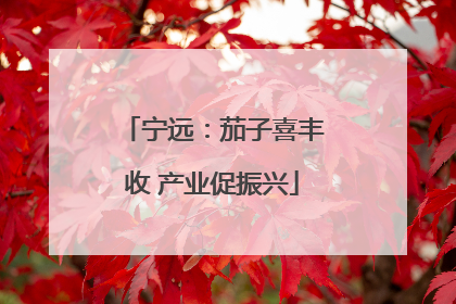 宁远：茄子喜丰收 产业促振兴