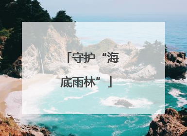 守护“海底雨林”