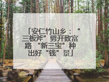 安仁竹山乡：“三板斧”劈开致富路 “新三宝”种出好“钱”景