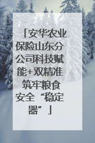 安华农业保险山东分公司科技赋能+双精准 筑牢粮食安全“稳定器”