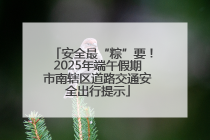 安全最“粽”要！2025年端午假期市南辖区道路交通安全出行提示