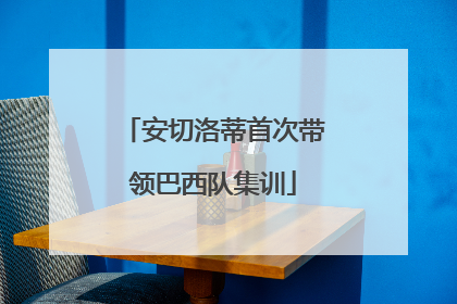 安切洛蒂首次带领巴西队集训