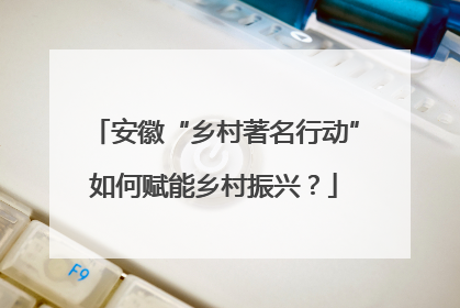 安徽“乡村著名行动”如何赋能乡村振兴？