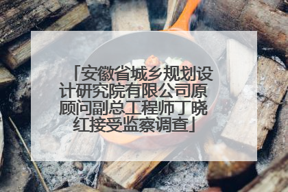 安徽省城乡规划设计研究院有限公司原顾问副总工程师丁晓红接受监察调查