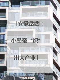 安徽岳西：小桑蚕“织”出大产业