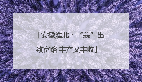 安徽淮北：“蒜”出致富路 丰产又丰收