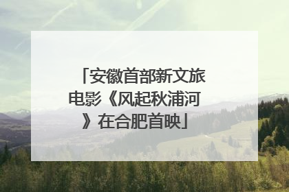 安徽首部新文旅电影《风起秋浦河》在合肥首映