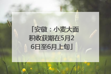安徽：小麦大面积收获期在5月26日至6月上旬