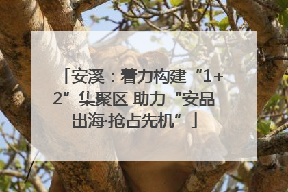安溪：着力构建“1+2”集聚区 助力“安品出海·抢占先机”
