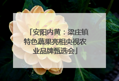 安阳内黄：梁庄镇特色蔬果亮相央视农业品牌甄选会