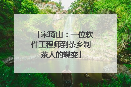 宋琦山：一位软件工程师到茶乡制茶人的蝶变