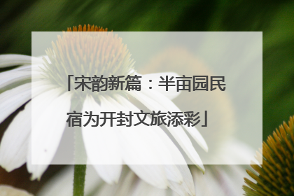 宋韵新篇：半亩园民宿为开封文旅添彩