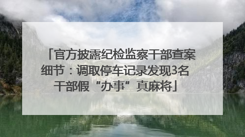 官方披露纪检监察干部查案细节：调取停车记录发现3名干部假“办事”真麻将