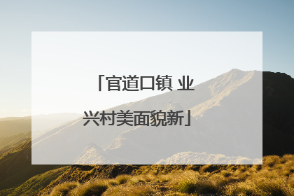 官道口镇 业兴村美面貌新
