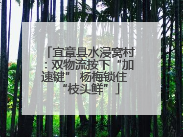 宜章县水浸窝村：双物流按下“加速键” 杨梅锁住“枝头鲜”