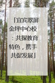 宜宾翠屏金坪中心校：共探教育特色，携手共促发展