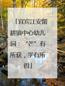 宜宾江安留耕镇中心幼儿园：“芒”有所获，学有所得
