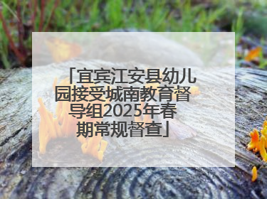 宜宾江安县幼儿园接受城南教育督导组2025年春期常规督查