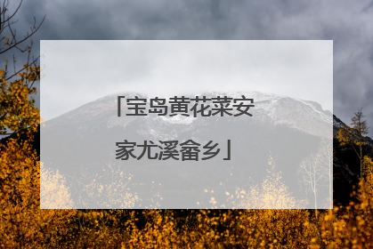 宝岛黄花菜安家尤溪畲乡