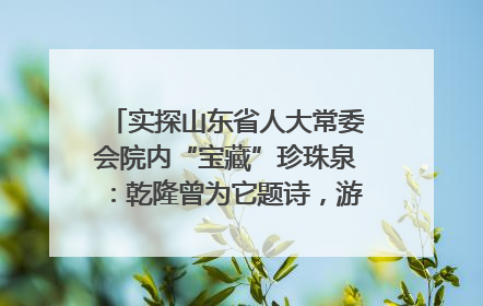 实探山东省人大常委会院内“宝藏”珍珠泉：乾隆曾为它题诗，游客无需预约免费游览