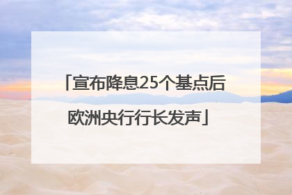 宣布降息25个基点后 欧洲央行行长发声