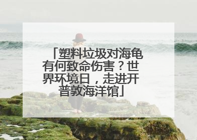 塑料垃圾对海龟有何致命伤害？世界环境日，走进开普敦海洋馆