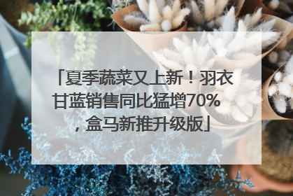 夏季蔬菜又上新！羽衣甘蓝销售同比猛增70%，盒马新推升级版