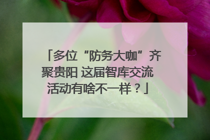 多位“防务大咖”齐聚贵阳 这届智库交流活动有啥不一样？