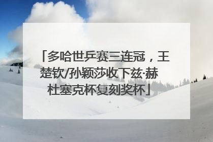 多哈世乒赛三连冠，王楚钦/孙颖莎收下兹·赫杜塞克杯复刻奖杯