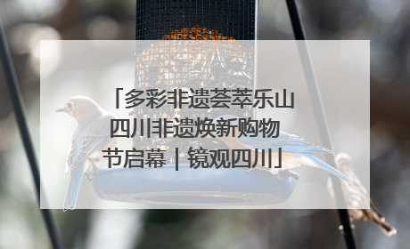 多彩非遗荟萃乐山 四川非遗焕新购物节启幕｜镜观四川