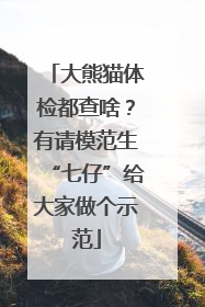 大熊猫体检都查啥？有请模范生“七仔”给大家做个示范