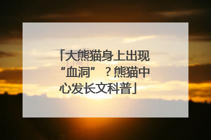 大熊猫身上出现“血洞”？熊猫中心发长文科普