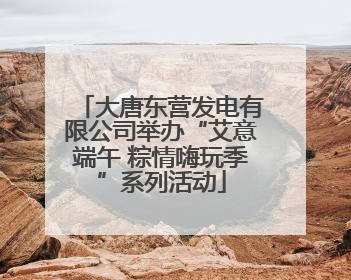 大唐东营发电有限公司举办“艾意端午 粽情嗨玩季”系列活动