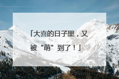 大喜的日子里，又被“萌”到了！