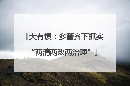 大有镇：多管齐下抓实“两清两改两治理”