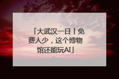大武汉一日丨免费人少，这个博物馆还能玩AI