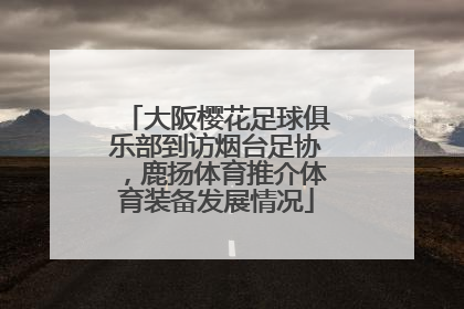 大阪樱花足球俱乐部到访烟台足协，鹿扬体育推介体育装备发展情况